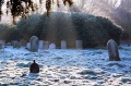 Frost at Boughton Church